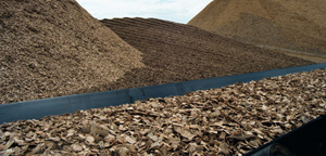 Chemical Resistant Conveyor Belt